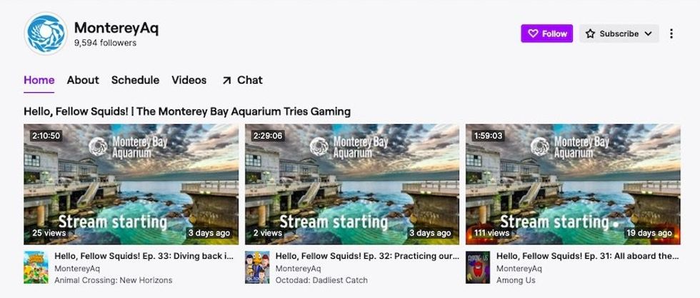 Monetery Bay Aquarium Twitch account