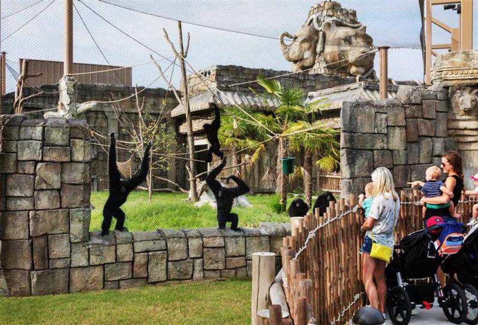 monkeys tulsa zoo lost kingdom PGAV