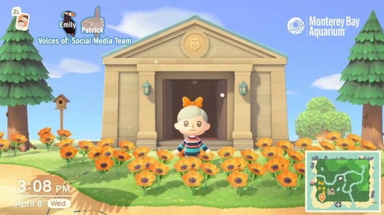 Monterey Bay Aquarium on Animal Crossing