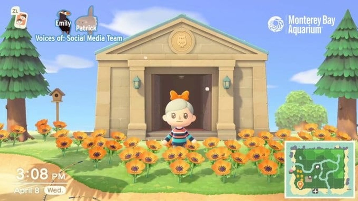 Monterey Bay Aquarium on Animal Crossing