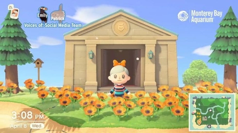 Monterey Bay Aquarium on Animal Crossing