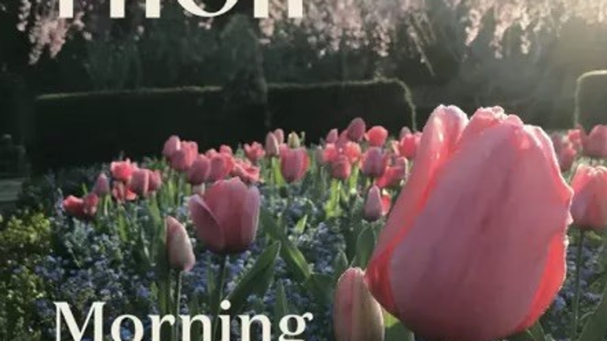 Morning in the Garden: A Podcast by Filoli
