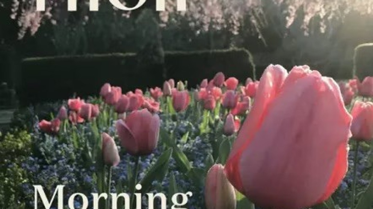 Morning in the Garden: A Podcast by Filoli