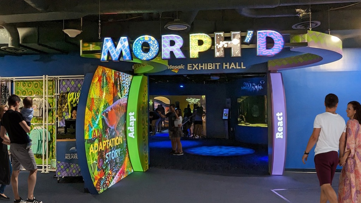 Morph'd Florida Aquarium IDEAS