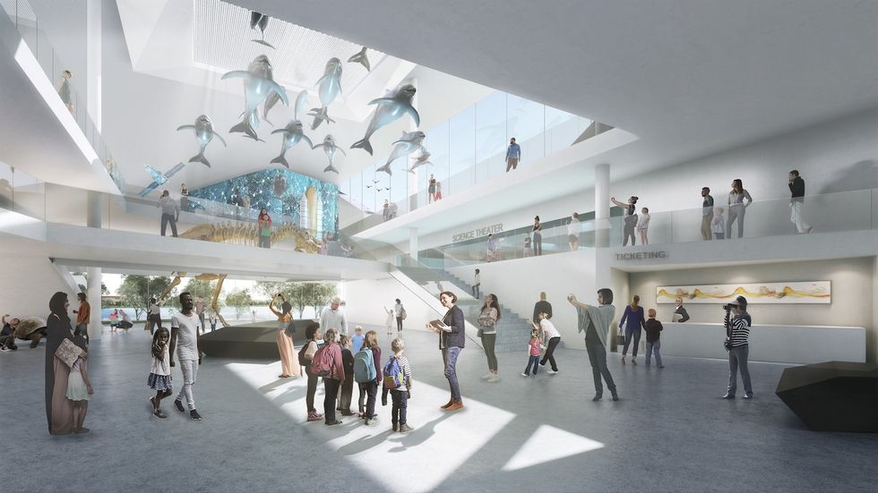 mosh museum of science and history jacksonville florida