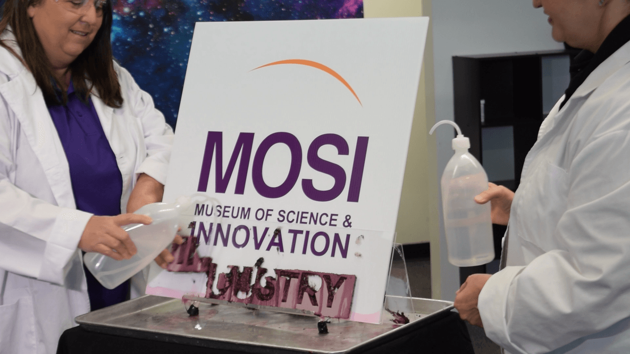 mosi tampa