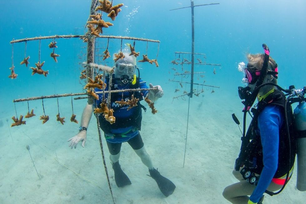 Mote-President-CEO-Dr-Michael-P-Crosby