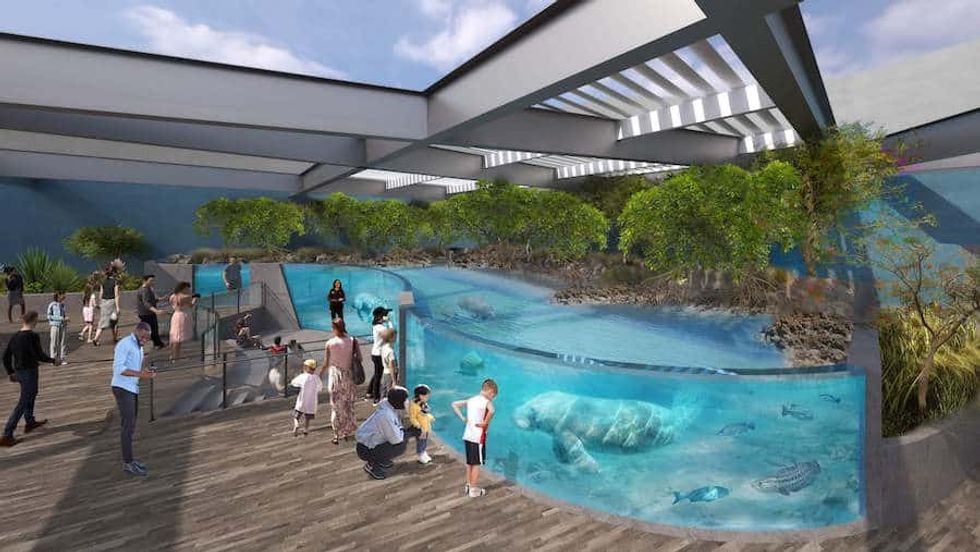 Mote Science Education Aquarium habitat - RENDERING