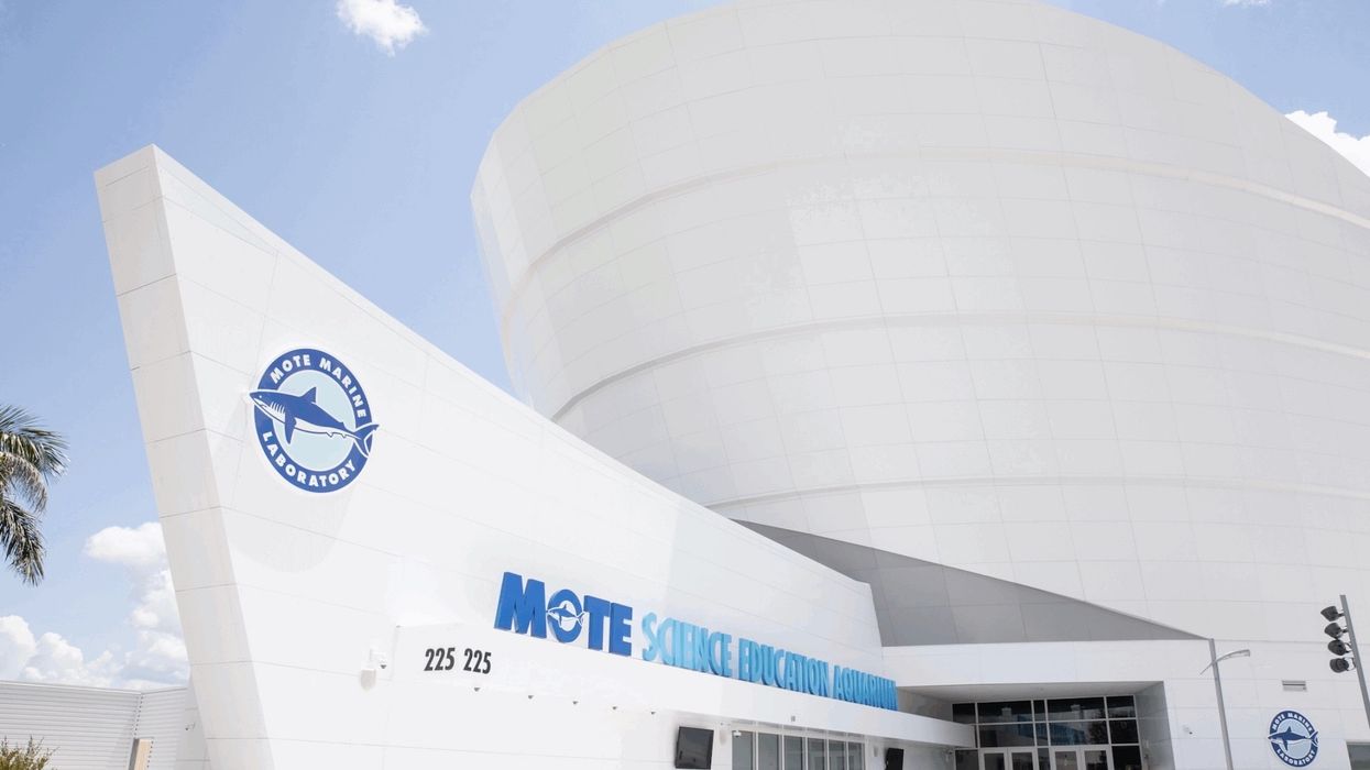 mote sea aquarium