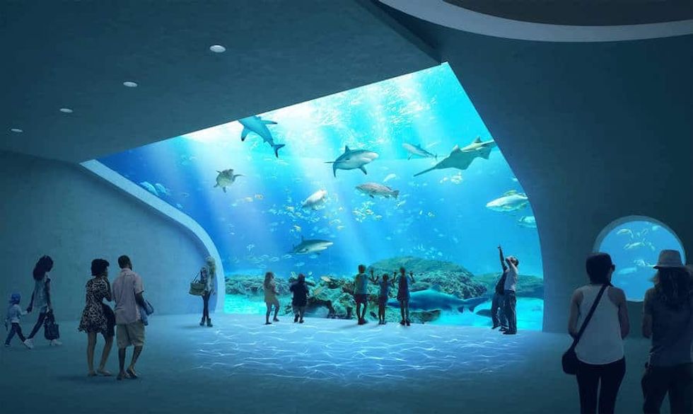 Mote SEA habitat - RENDERING