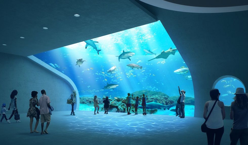Mote SEA Shark Exhibit Rendering new zoo aquarium projects