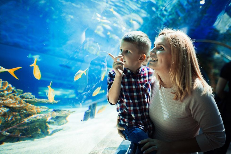 Mother and her child watching sea life in oceanarium