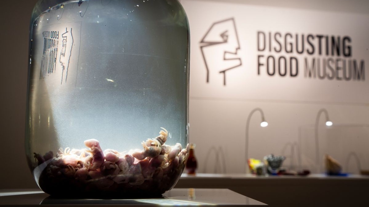 Mouse Wine, Disgusting Food Museum