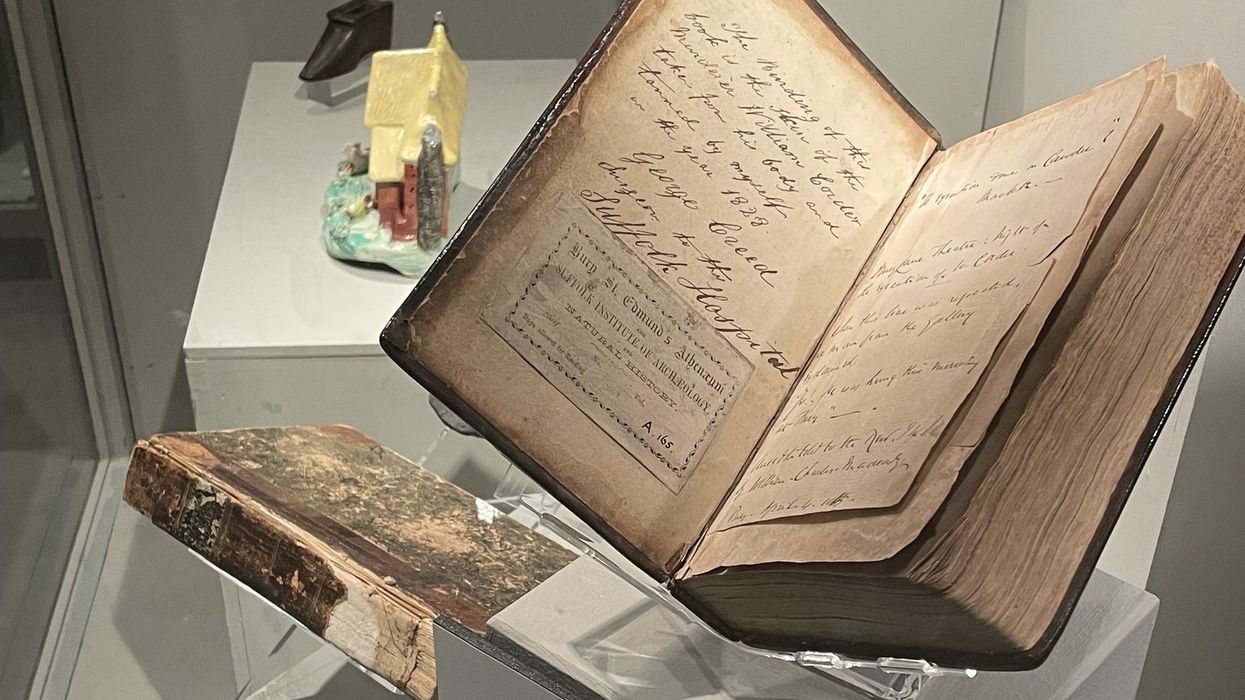 moyse's hall museum skin book