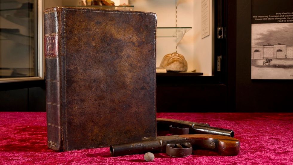 moyse's hall museum skin book