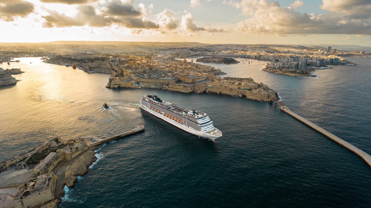 msc magnifica