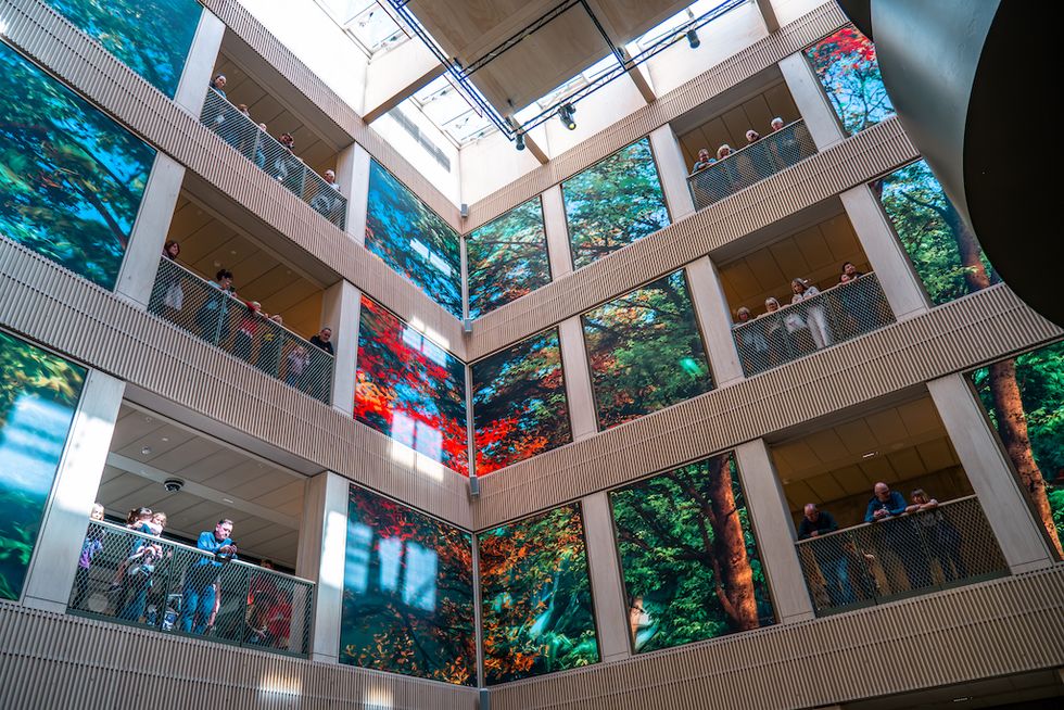Multistory building interior with vibrant tree murals and people on balconies.
