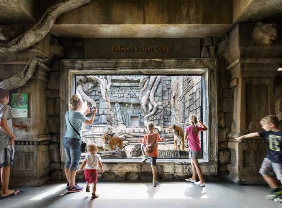 mum and kids view tigers at PGAV-designed Lost Kingdom exhibit Tulsa Zoo