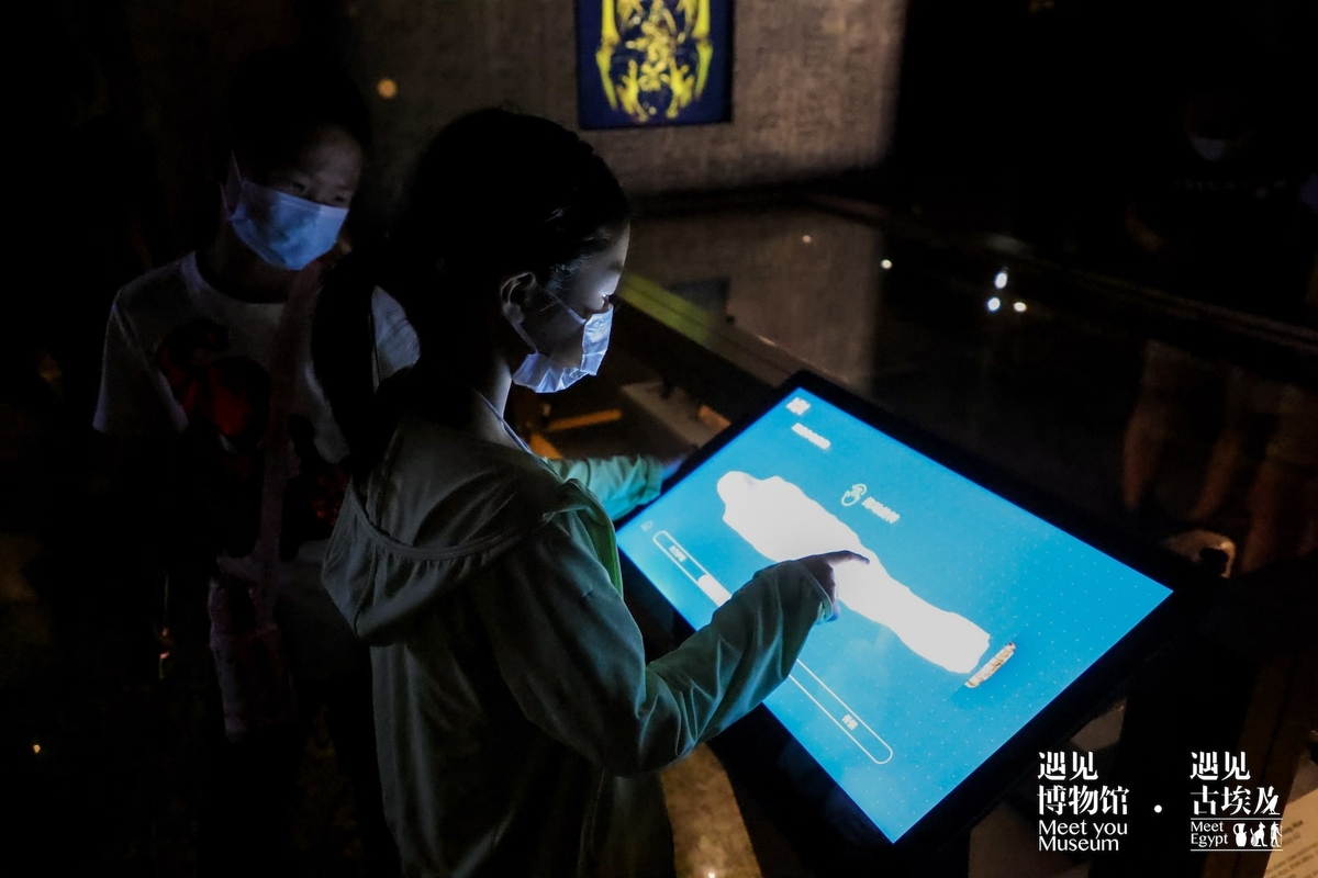 mummies exhibit screen
