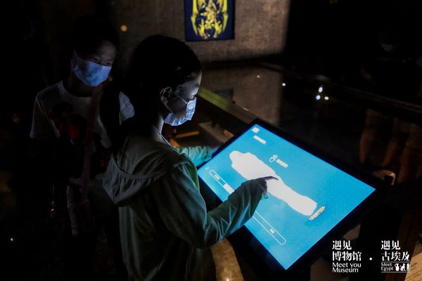 mummies exhibit screen