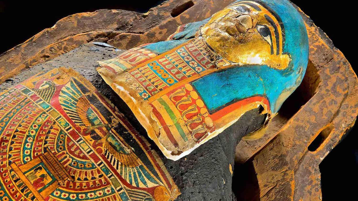 mummies of the world exhibition