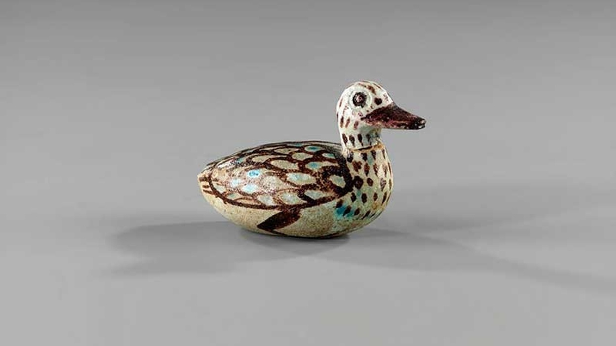 museum duck pictures