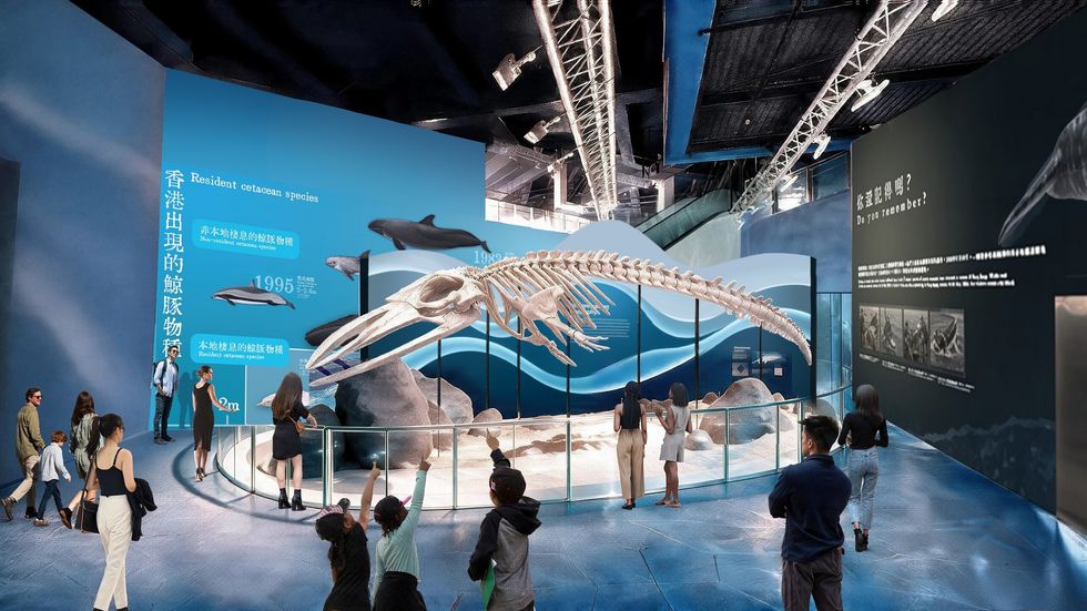 Museum exhibit at Ocean Park with a large whale skeleton and informational displays on the walls.