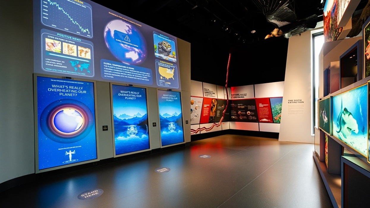 Museum exhibit on climate change with informative panels and visual displays.