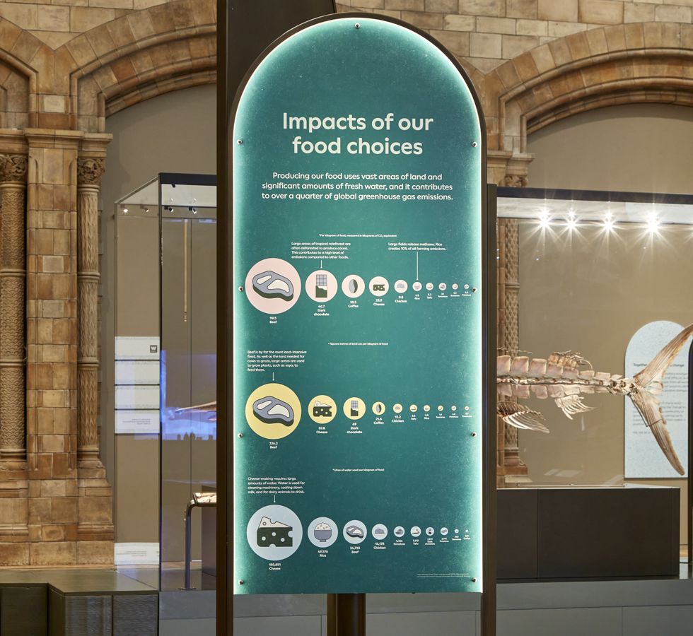 Museum exhibit on the environmental impact of food choices beside a dinosaur fossil.