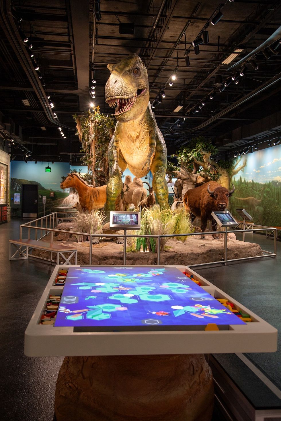 Museum exhibit with a T-rex model, interactive display, and animal figures.