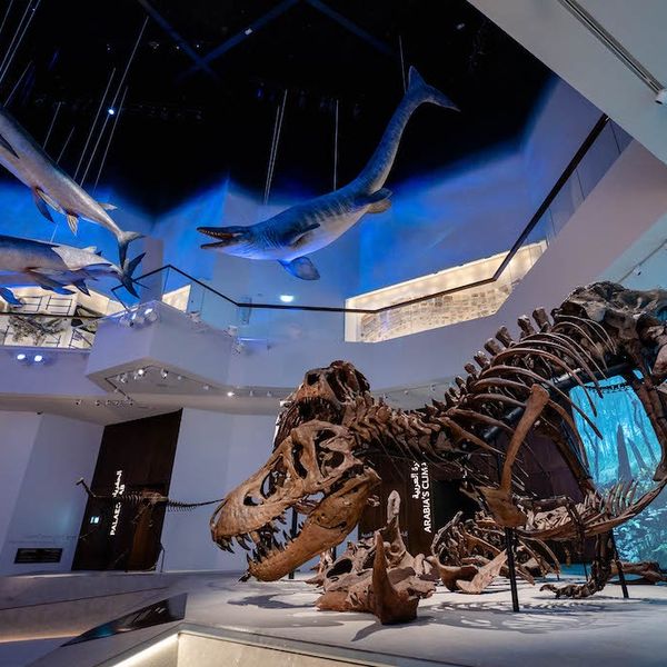 Is Immersive Art Finally Growing Up? The Shocking Resilience of Summit'25