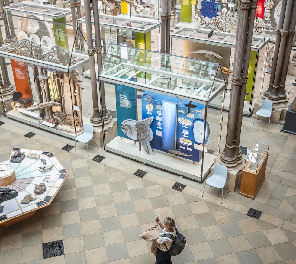 Museum exhibits with fish display and visitor in tiled hall.