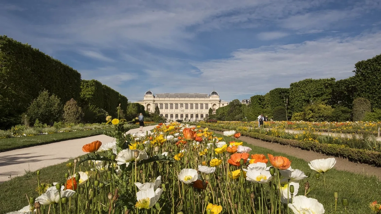 Muséum National d’Histoire Naturelle in Paris, France