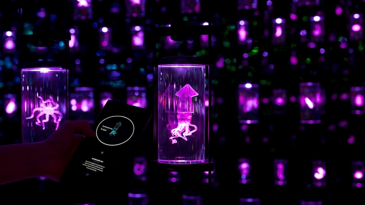 Museum of the Future - Journey of the Pioneers