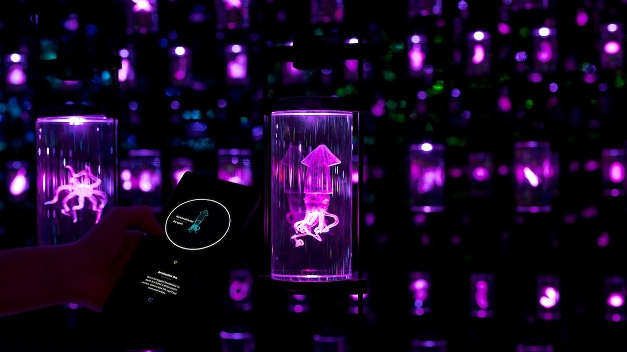 Museum of the Future - Journey of the Pioneers