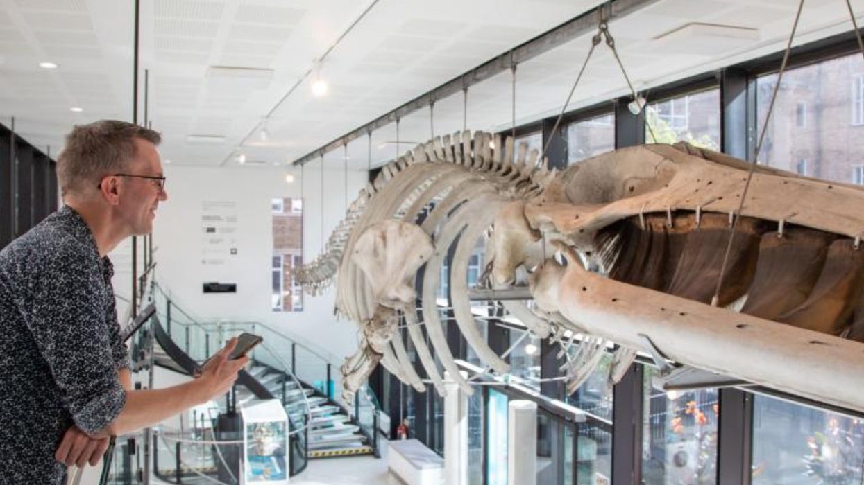 museum of zoology ai experience