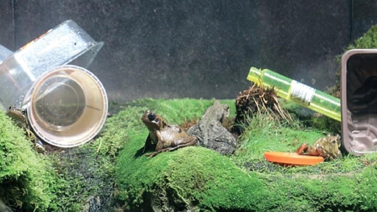 museums and the climate crisis