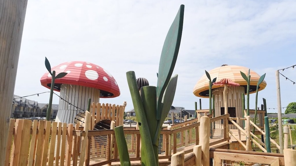 Mushrooms-and-greenery-at-Fairy-Dell-adventure-play-by-CAP.Co-at-Fairytale-Farm