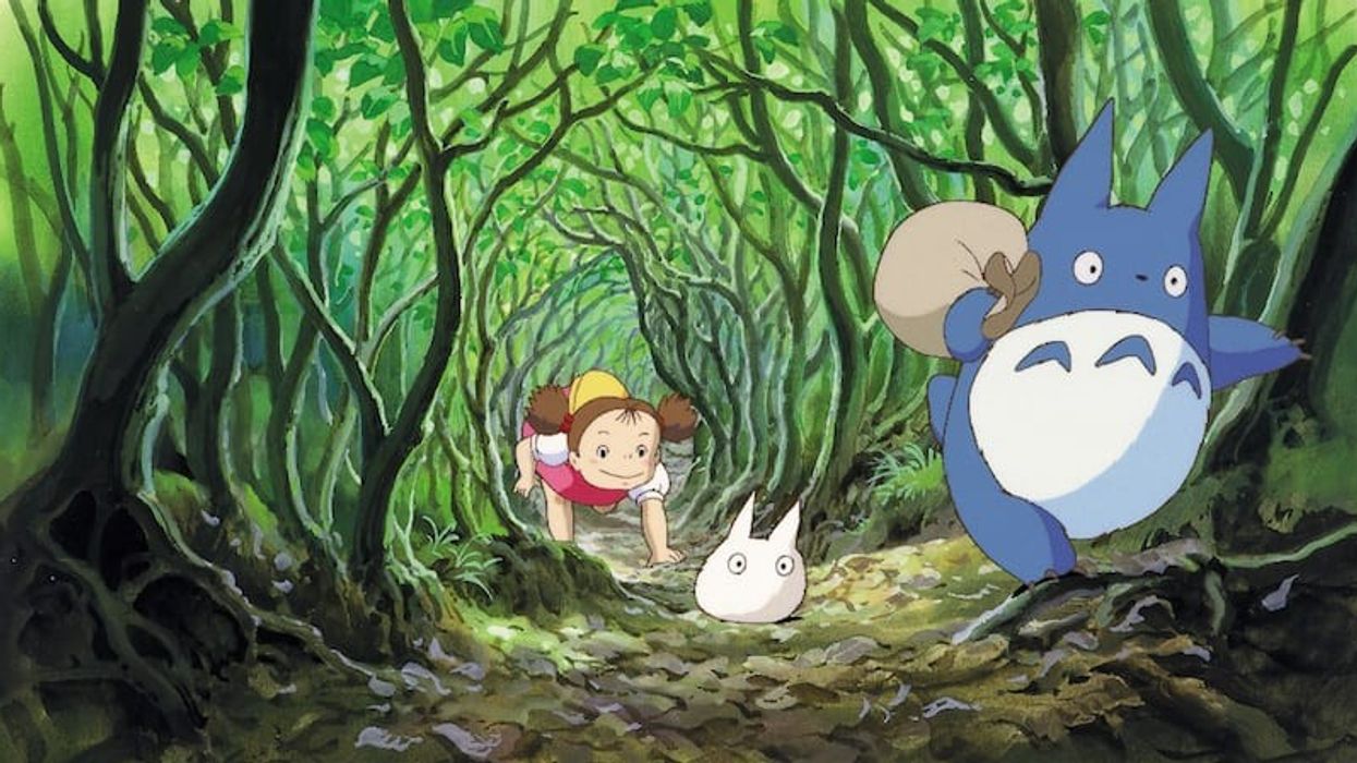 my neighbour totoro studio ghibli