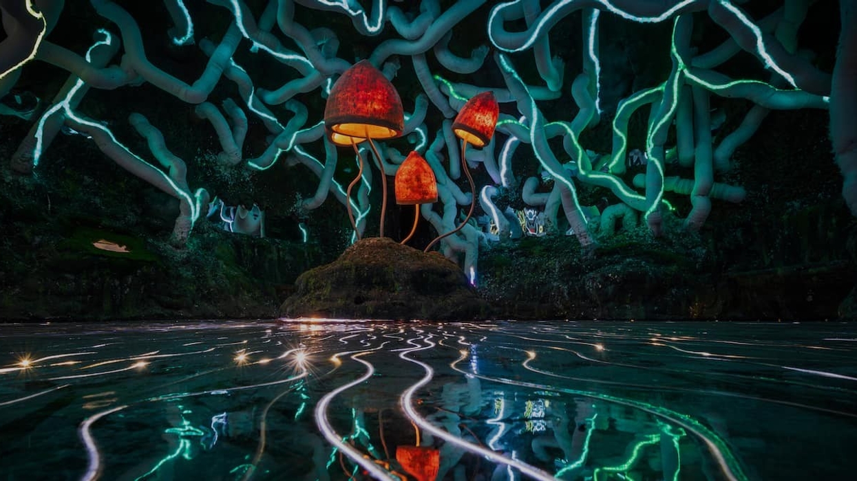 mycelium sculpture Wake the Tiger