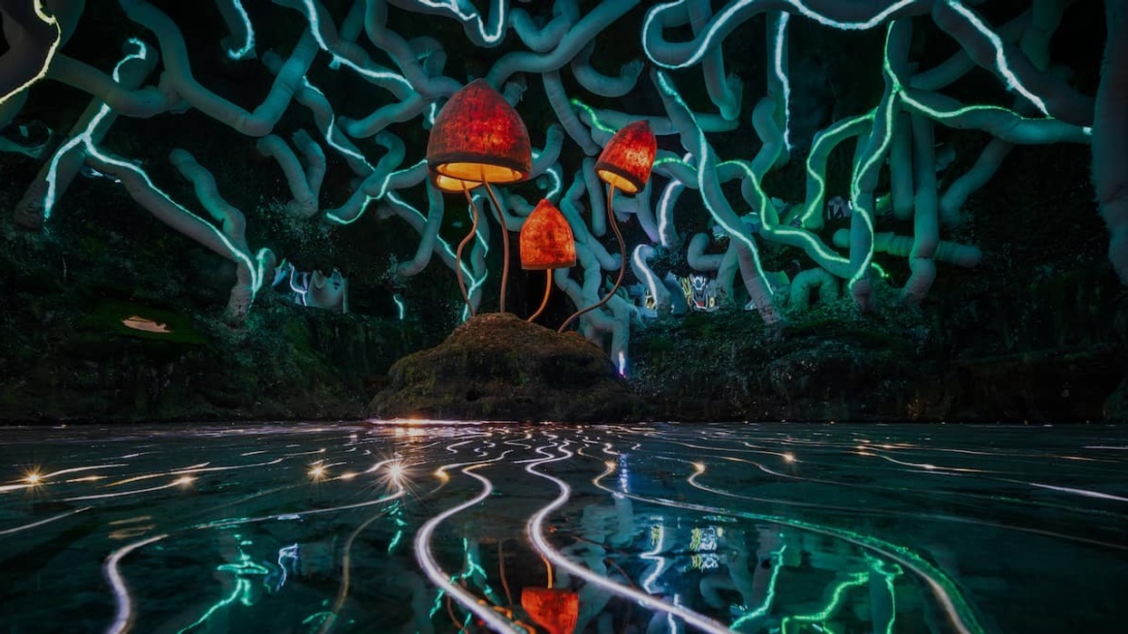 mycelium sculpture Wake the Tiger