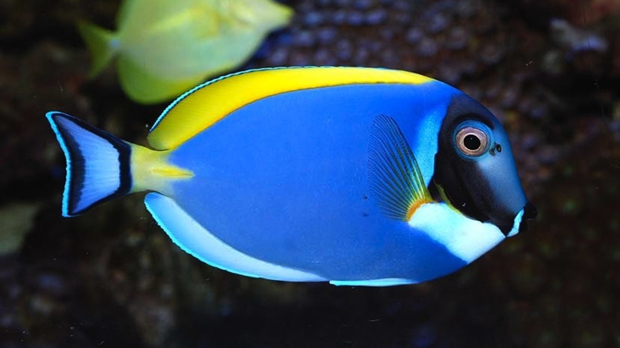 Mystic Aquarium