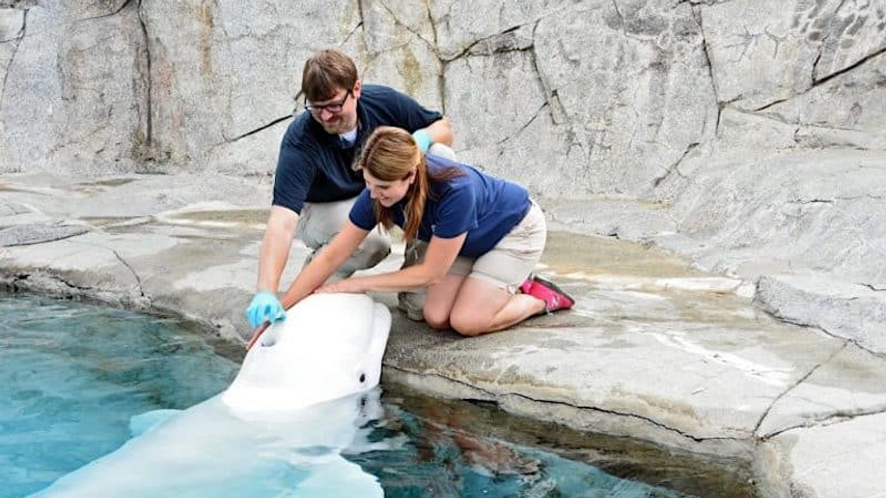 mystic aquarium