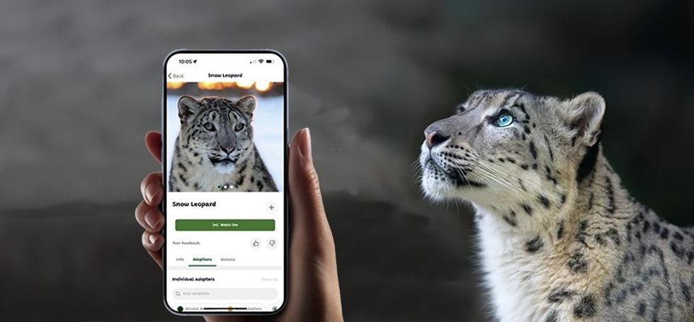 n-gage.io AZA conference debut mobile app screen