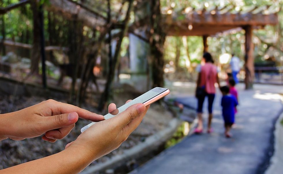 n gage.io AZA conference debut technology for wildlife attractions