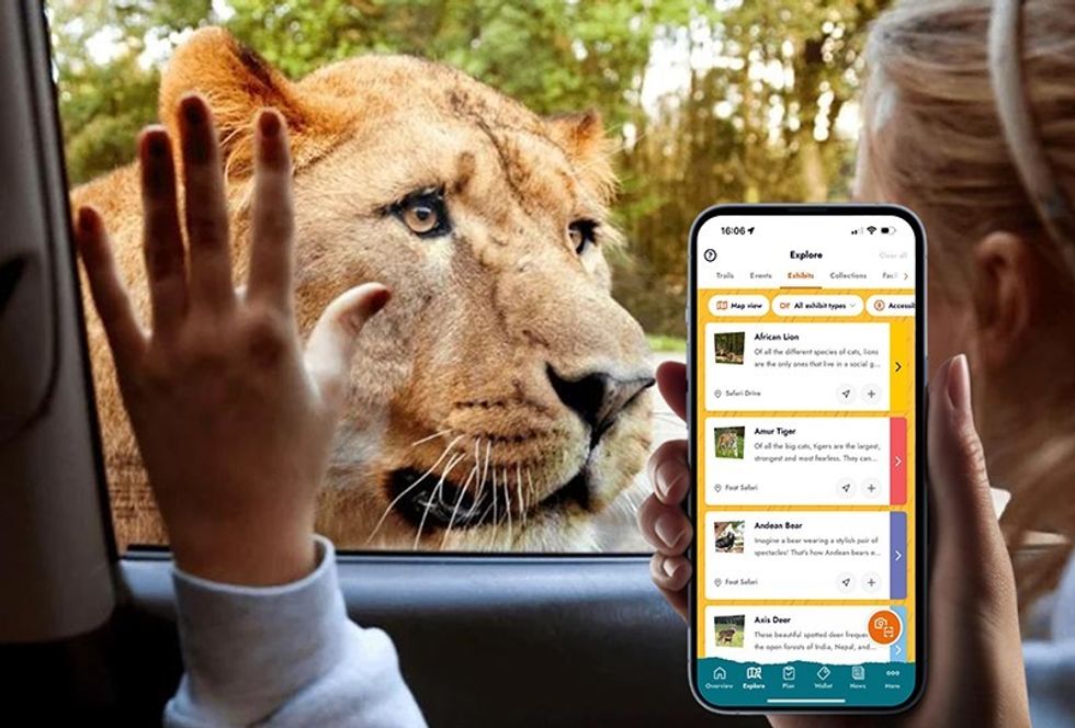 n-gage.io AZA conference debut