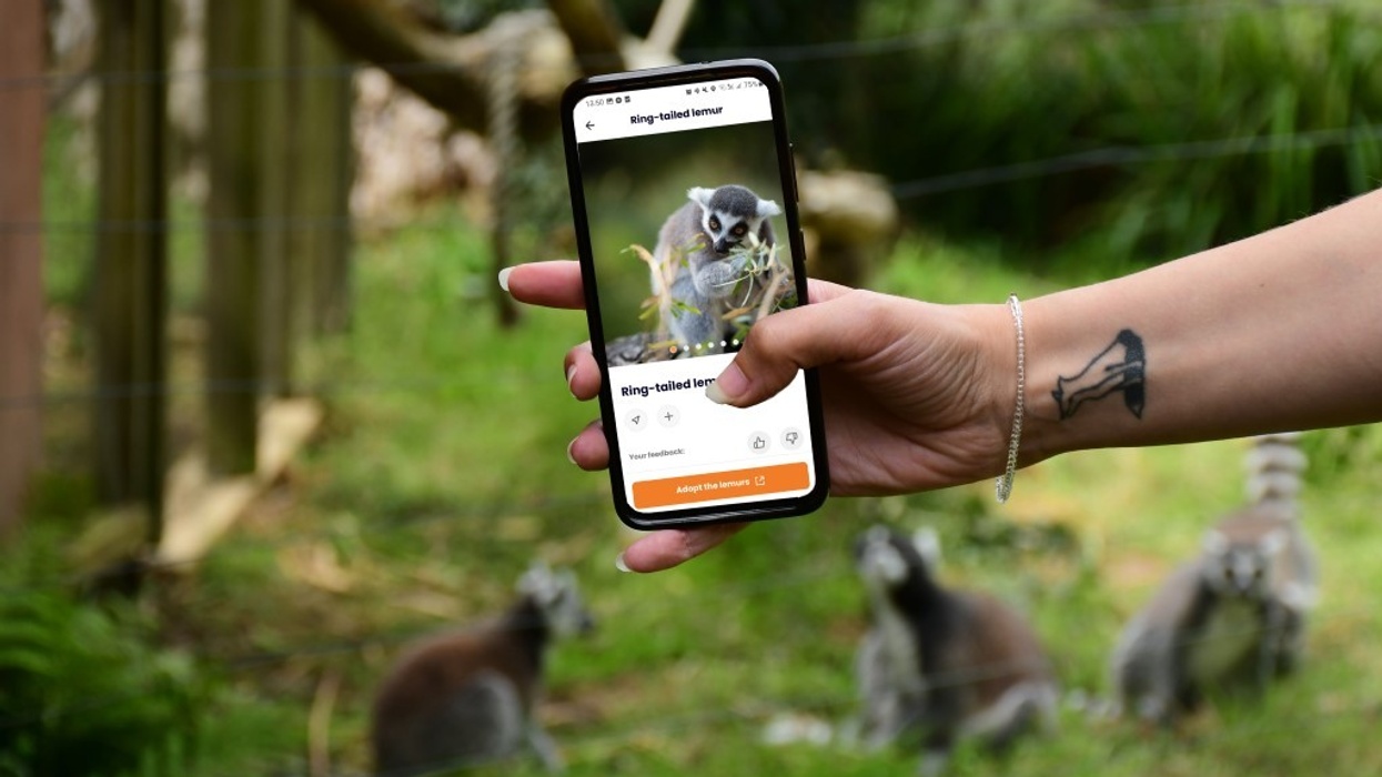 n-gage.io EAZA Conference 2024 Jersey Zoo