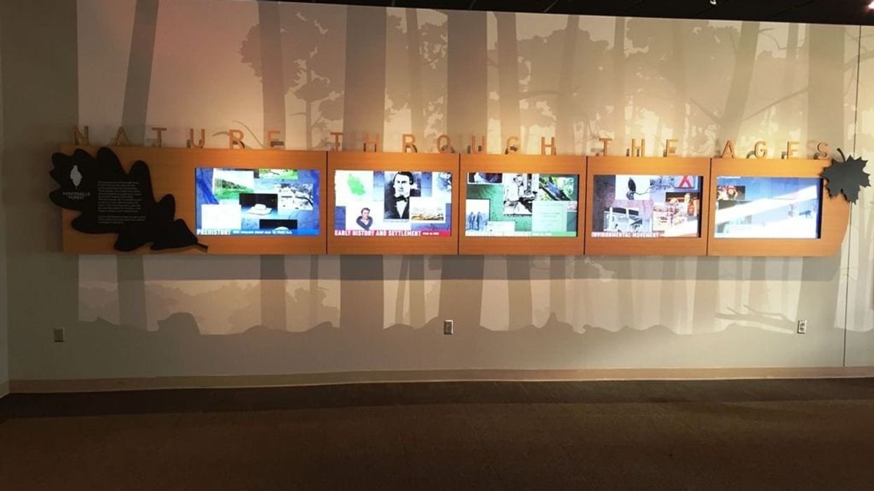 Nanonation Partners Fontenelle Forest to Create Series of Digital Experiences