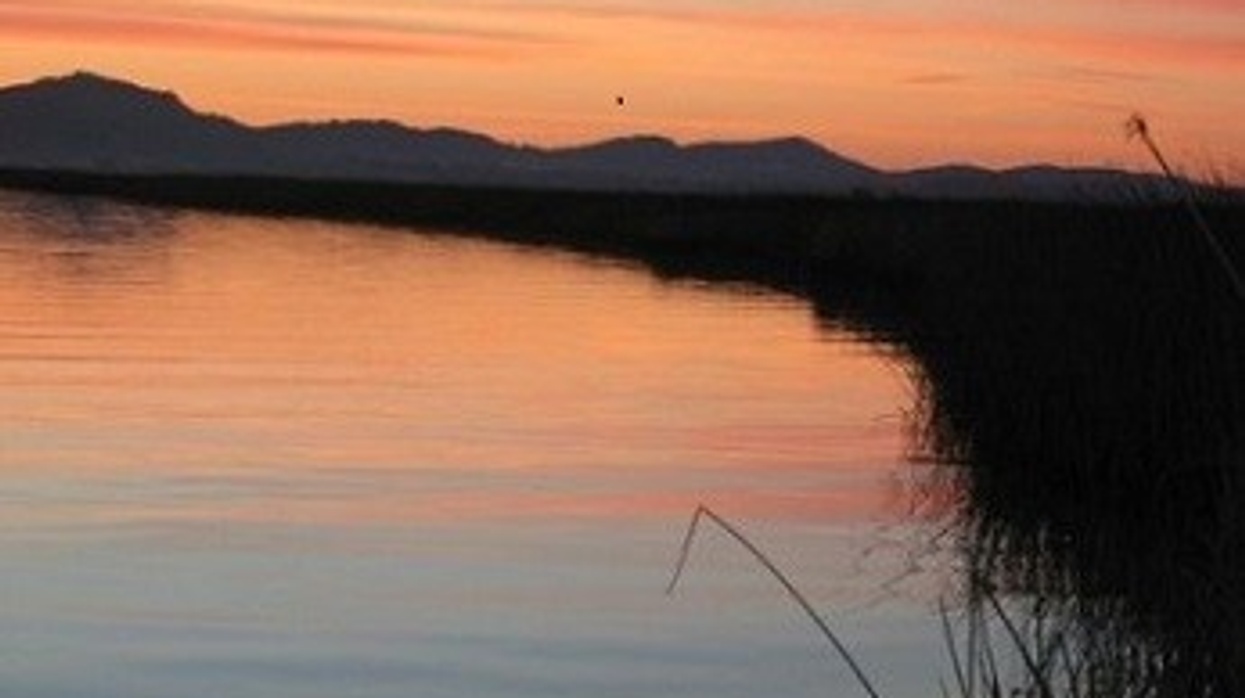 napa sonoma marshes in California