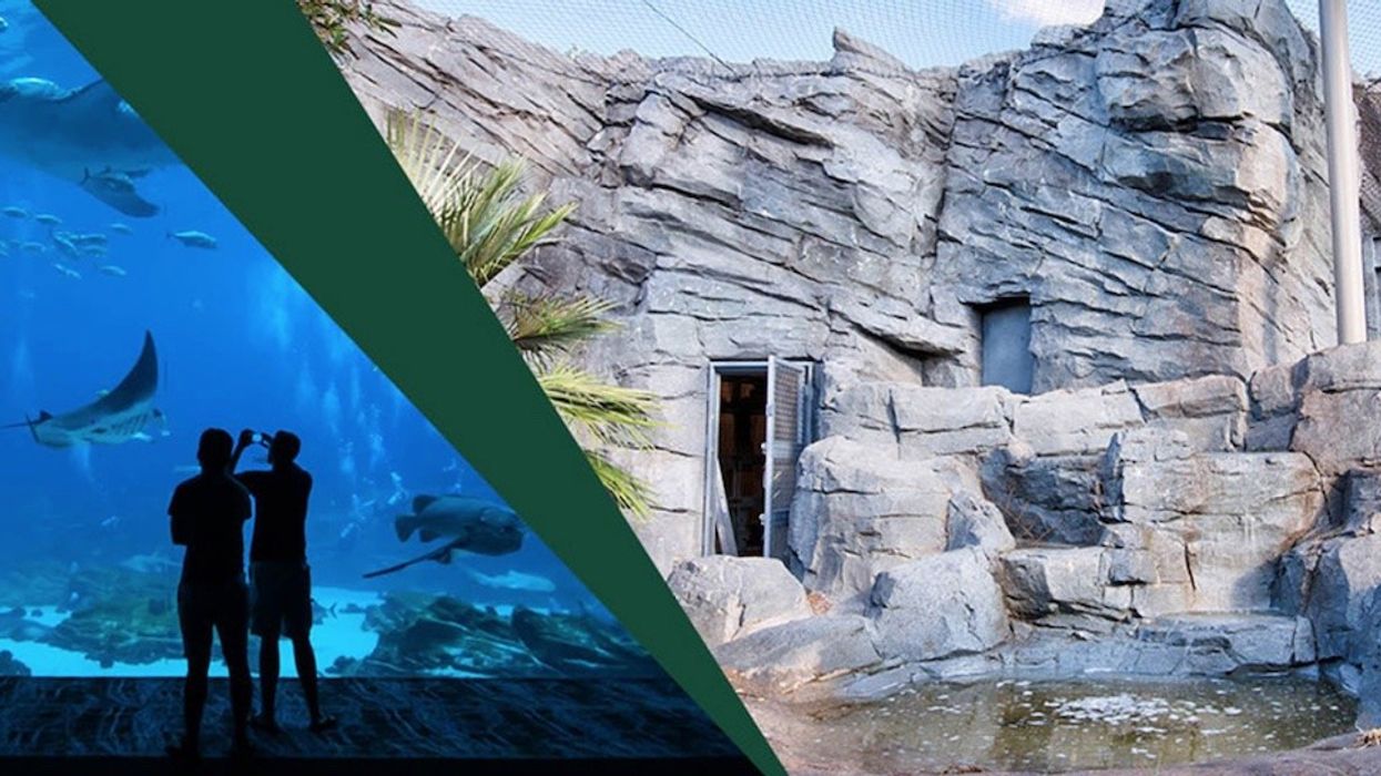 Nassal-zoo-and-aquarium-design